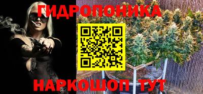 кристаллы Гусь-Хрустальный